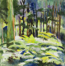 Bagley Woods